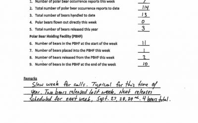 Churchill Polar Bear Stats – Last Week