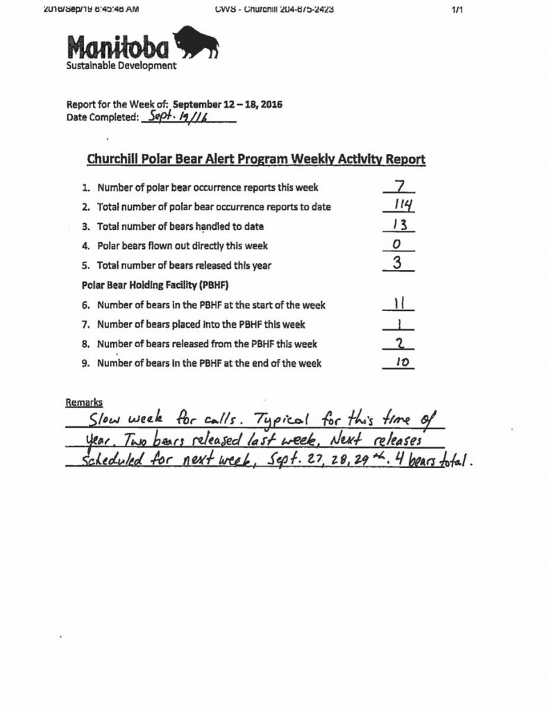 polar bear stats Churchill