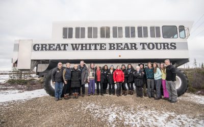 Polar Bear Season – Churchill Photos