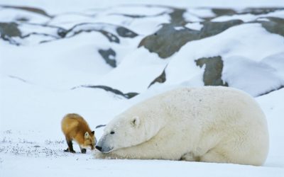 Churchill Sunday Photo