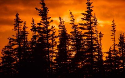 Churchill Friday Photo – Boreal Sunset