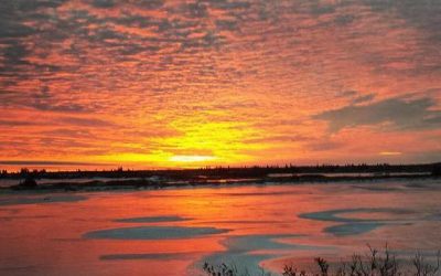 Churchill Tundra Morning