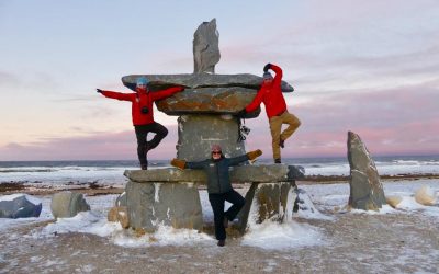 Churchill Polar Bear Season Photo