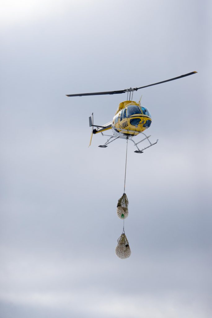 polar bear lift in Churchill, Manitoba