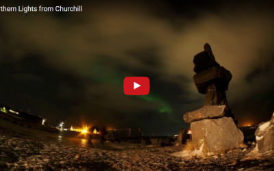 Churchill Video of the Week – Aurora