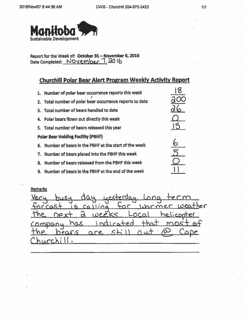 november-7-polar-bear-stats