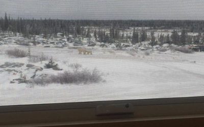 Churchill Northern Studies Center View