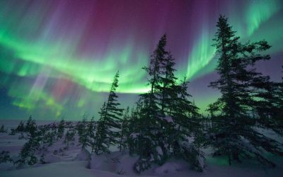Churchill Sunday Photos – Northern lights