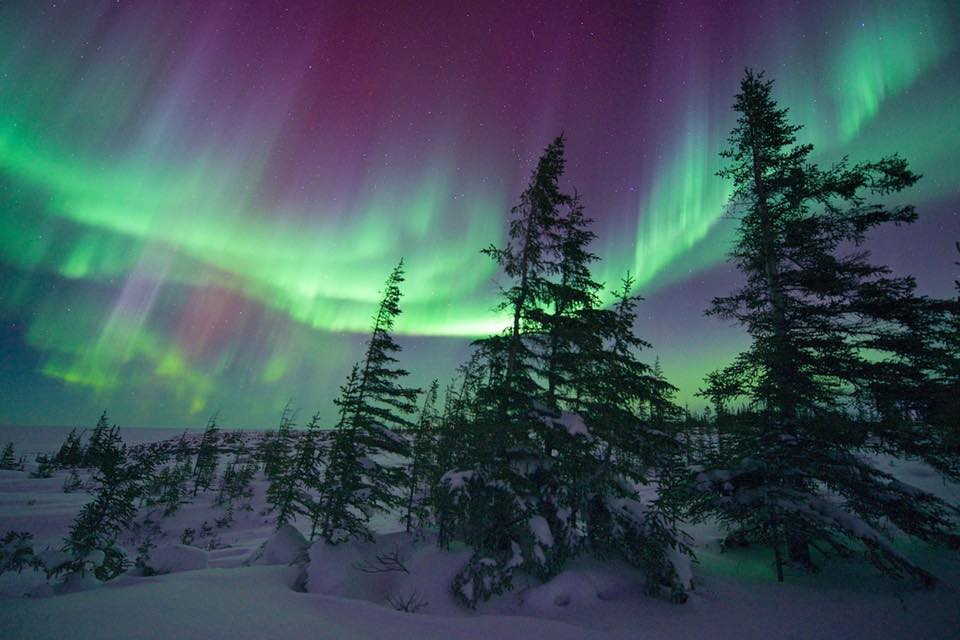 Northern liights churchill manitoba