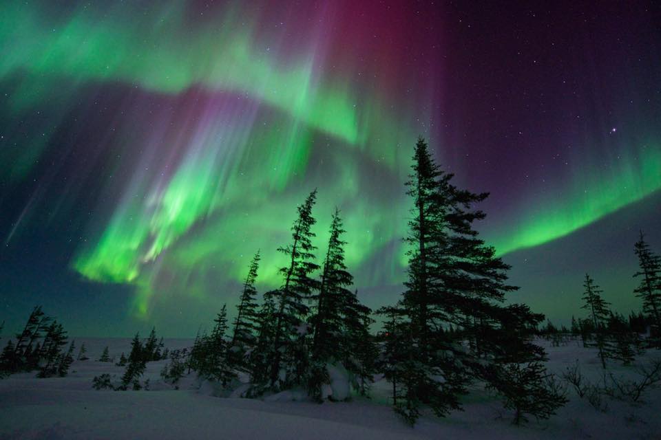 northern lights churchill