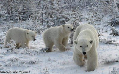 Churchill Sunday Photos