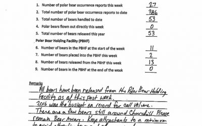 Churchill Weekely Polar Bear Statistics