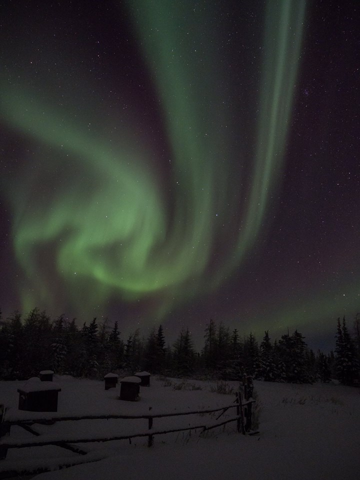 Wapusk Adventures northern lights in Churchill
