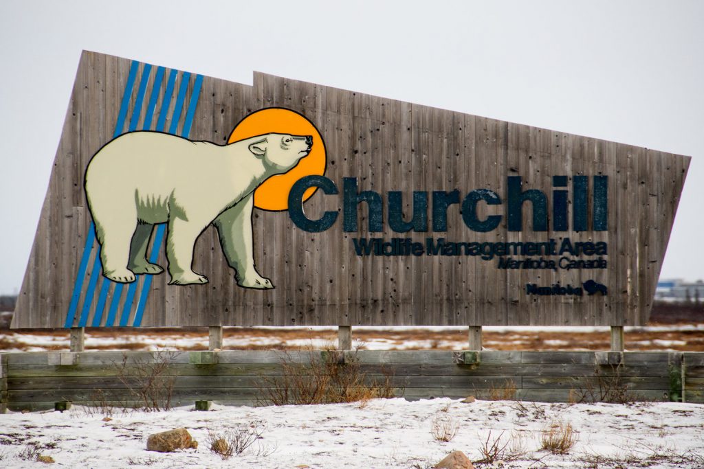 welcome to Churchill Jeff Klofft