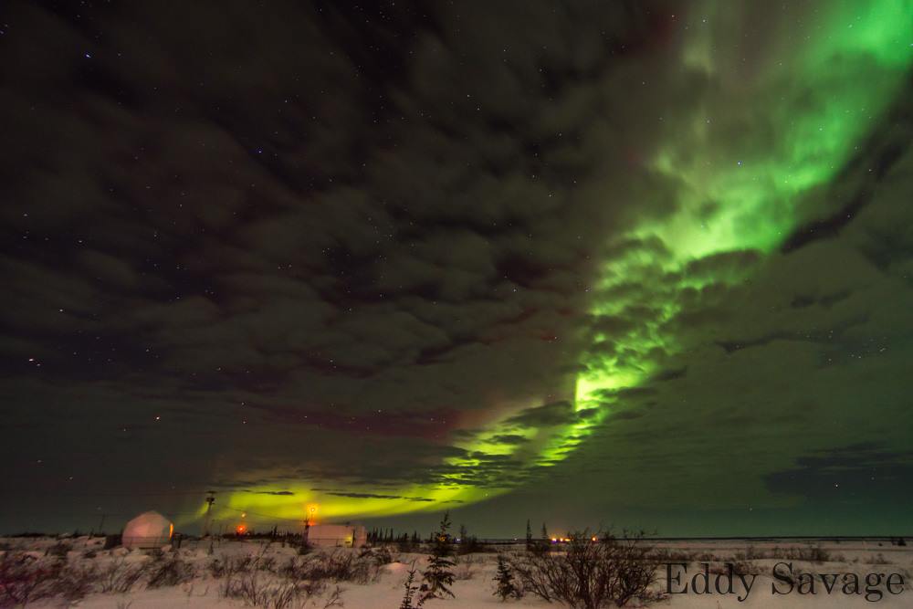 aurora borealis churchill