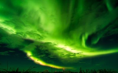 Churchill Photos of the Week