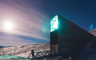 Arctic Doomsday Vault Gets Seed Deposit