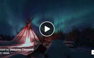 Churchill Northern Lights Video – Wapusk
