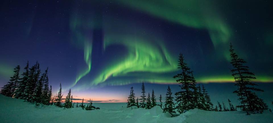 churchill northern lights