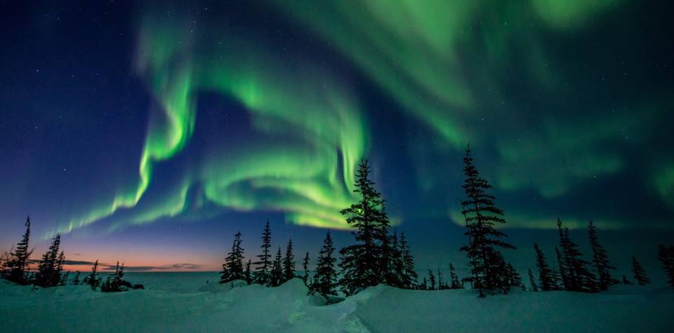 churchill northern lights