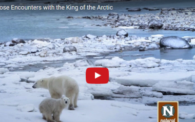 Churchill Webinar – Justin Gibson