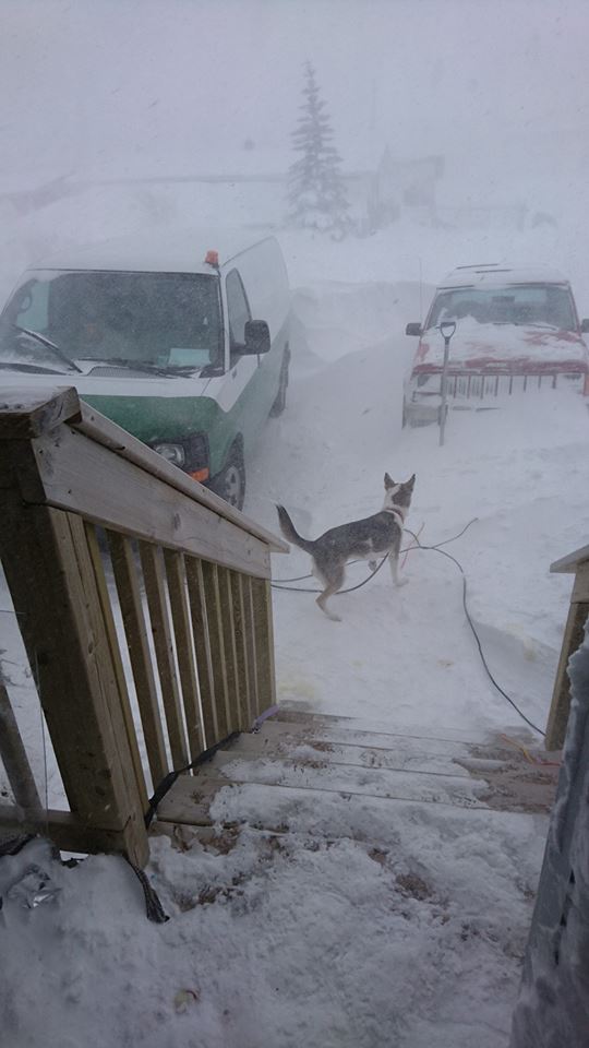 blizzard 17 churchill