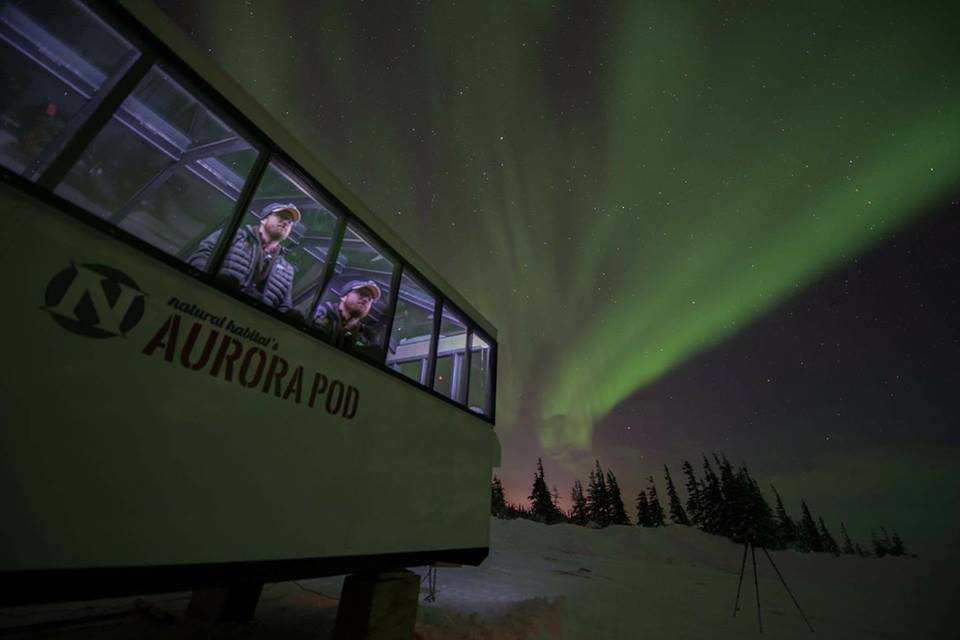 Justin Gibson churchill