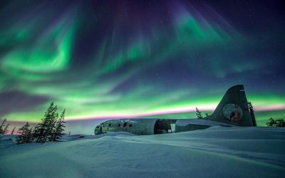 Churchill Sunday Photo – Miss Piggy