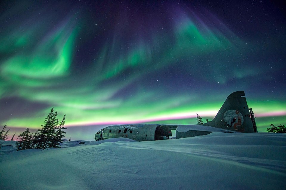 Miss Piggy and Northern Lights in Churchill
