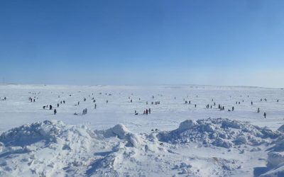 Arctic Photo of the Week-Egg Hunt