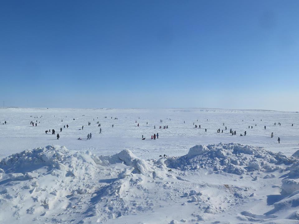 Cambridge Bay Arctic egg hunt