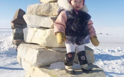 Images Round the Arctic