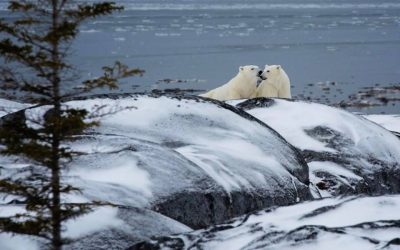 Churchill Sunday Photo