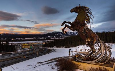 Arctic Art Alert- Whitehorse Horse