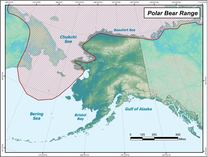 polar bear habitat in Alaska