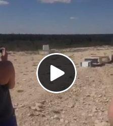 Snowy Owl Release From CSNC