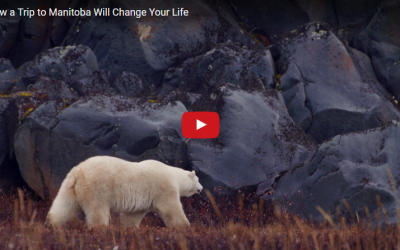 Travel Manitoba Video – Winnipeg to Churchill