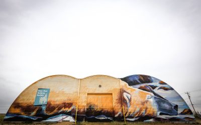 Churchill Sea Walls Murals Top Choices