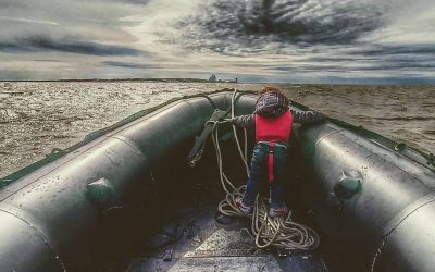 Churchill Featured Photo – Beluga Boy