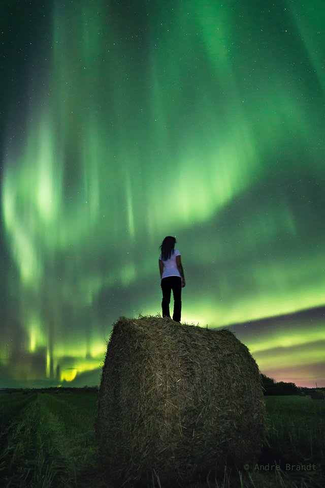 Northern lights in manitoba
