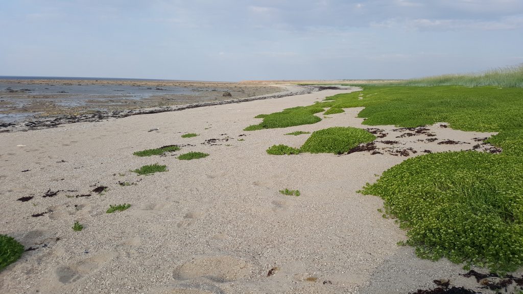 Halfway point beach in Churchill