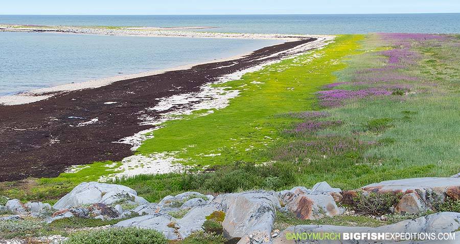 Halfway Point beach Churchill