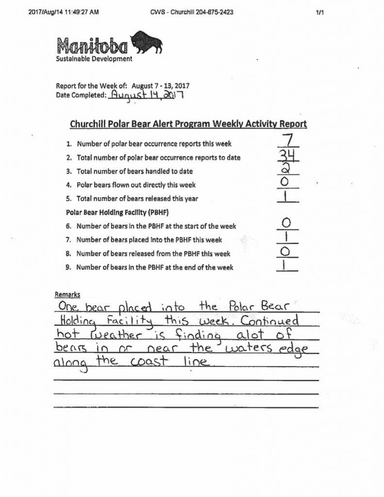 polar bear stats for Churchill, Manitoba
