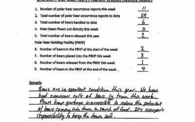 Churchill Polar Bear Stats