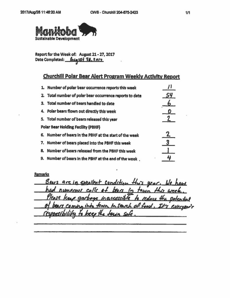 polar bear stats churchill, MB