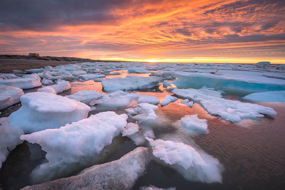 Churchill Ice floes
