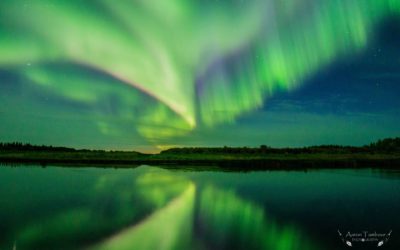 Around the Arctic Weekly Photos