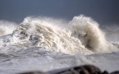 Live from Churchill: Nov 16, 2009