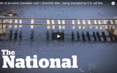 Churchill Hurting Without Lifeline