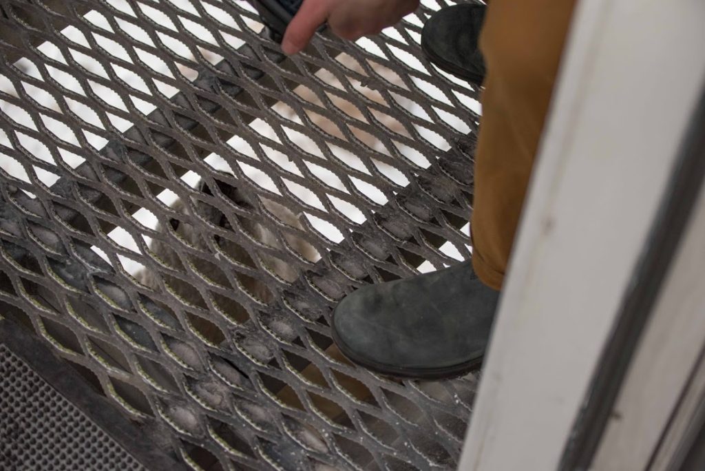 polar bear and polar rover